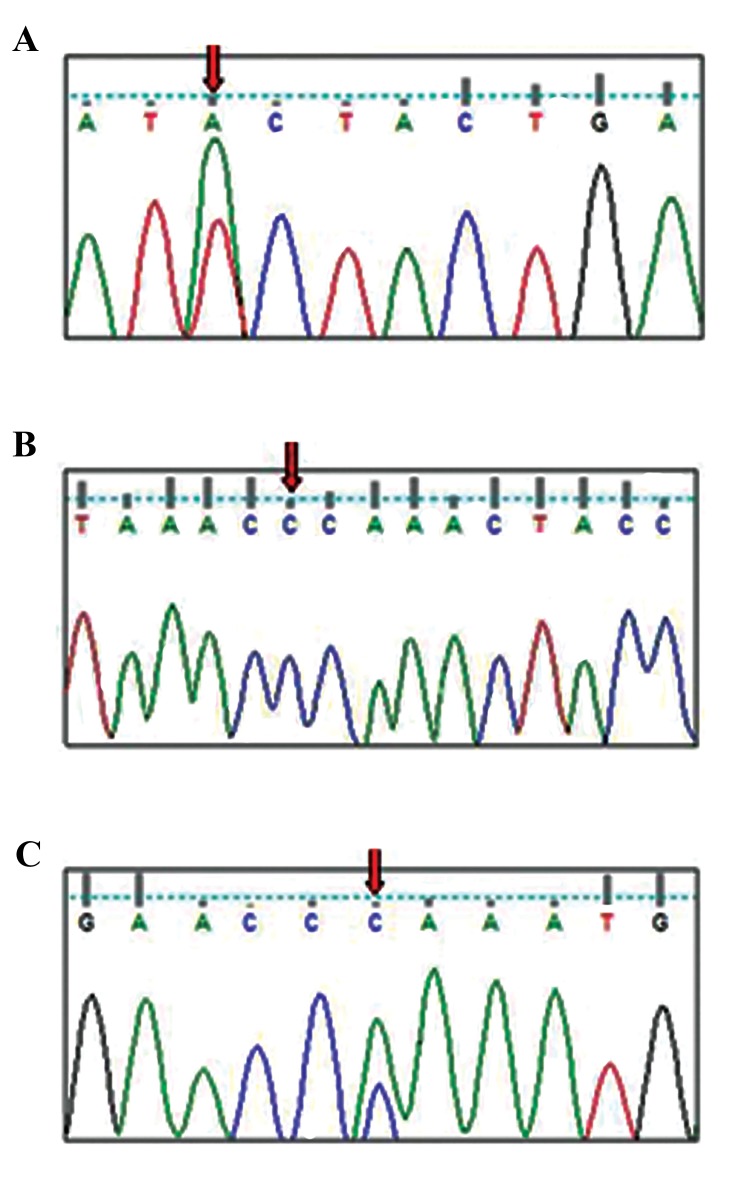 Fig.1