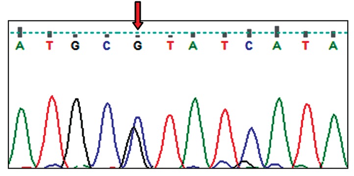 Fig.2