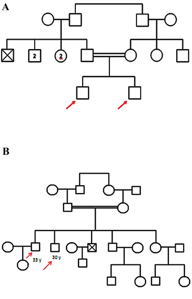 Fig.3