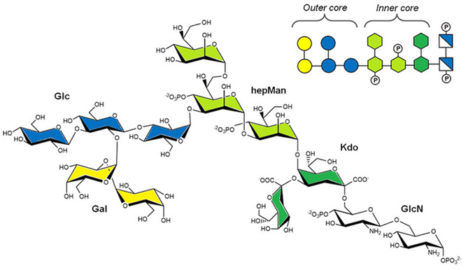 Figure 14