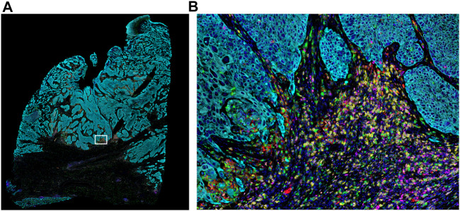 FIGURE 2