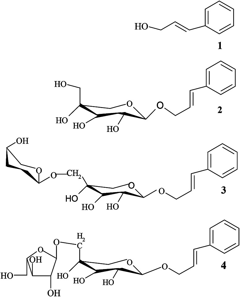 Fig. 1