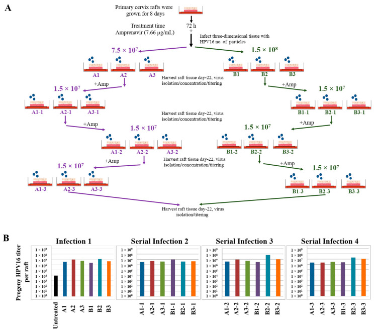 Figure 20