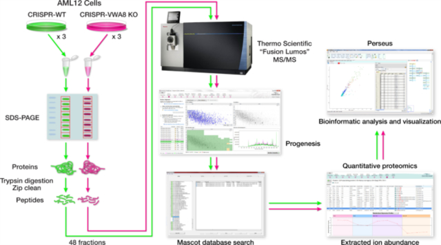 graphic file with name nihms-1783915-f0001.jpg