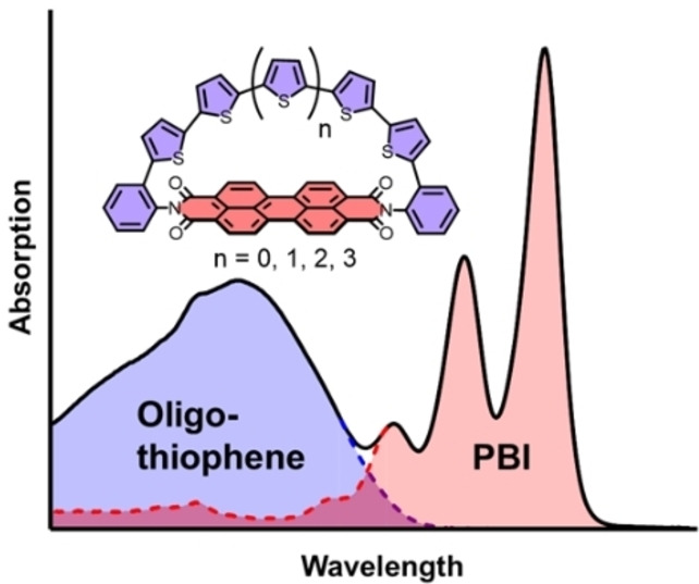 graphic file with name CHEM-28-0-g006.jpg