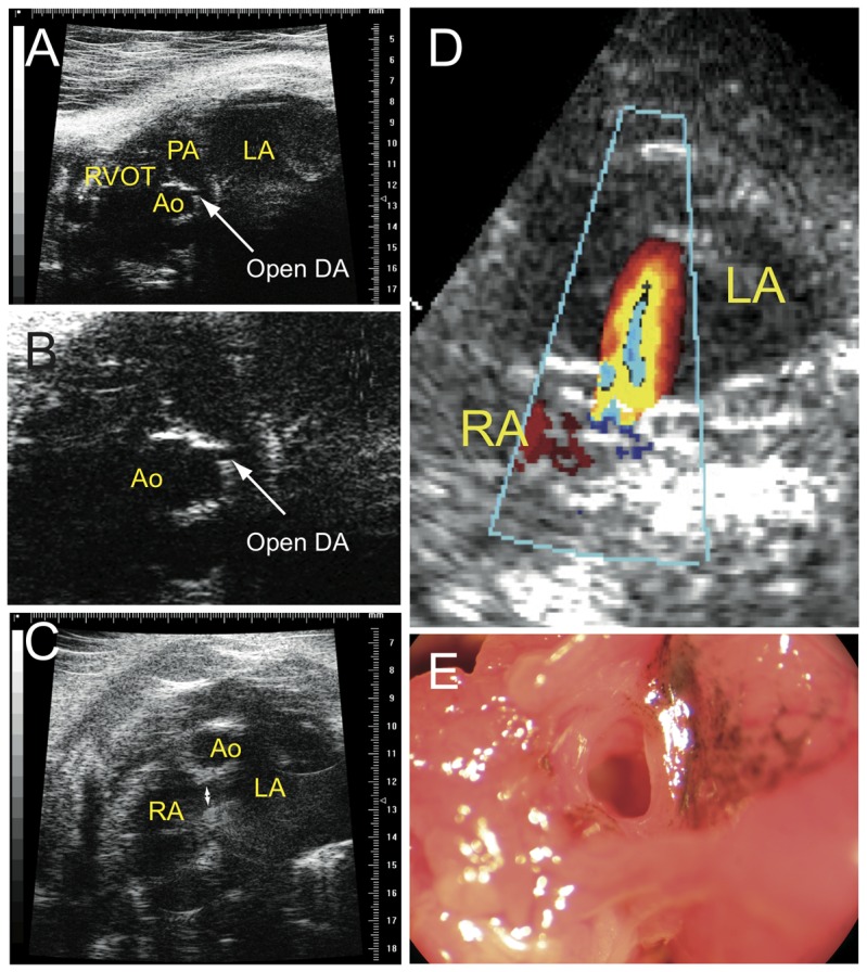 Figure 10