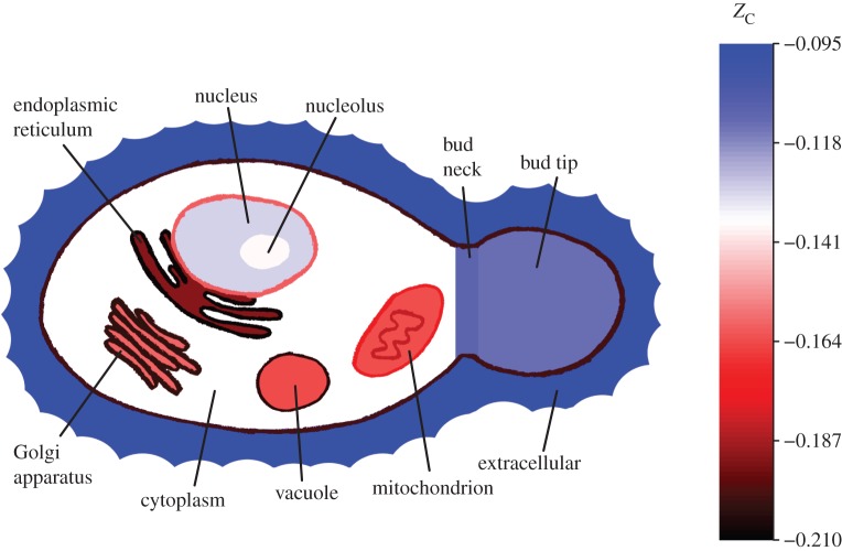 Figure 3.