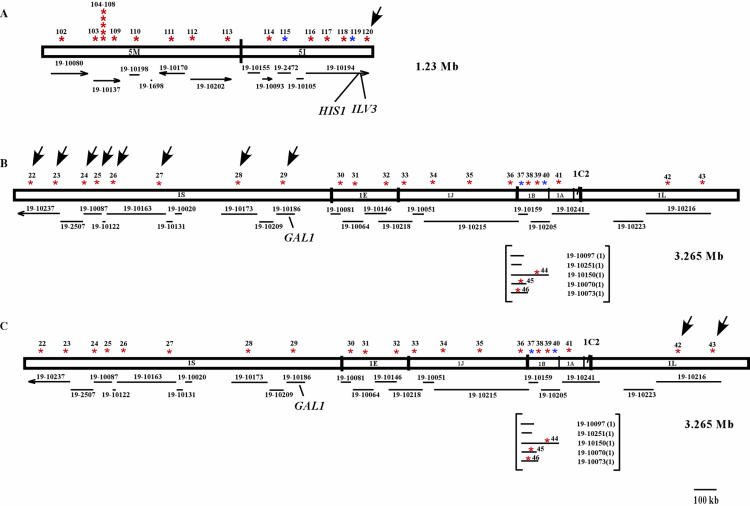 FIG. 3.