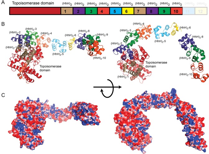 Figure 3.