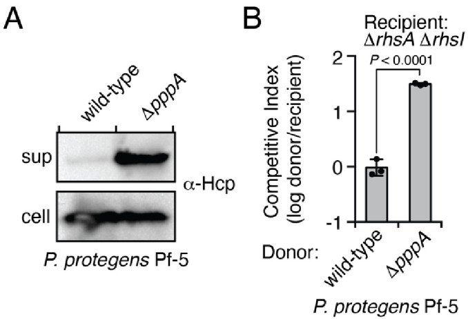 Figure 2—figure supplement 1.