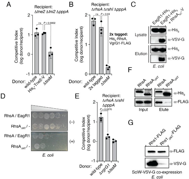 Figure 3—figure supplement 1.