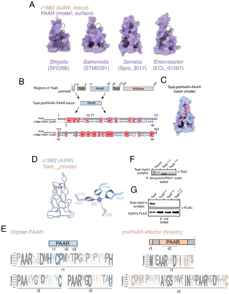 Figure 6—figure supplement 1.