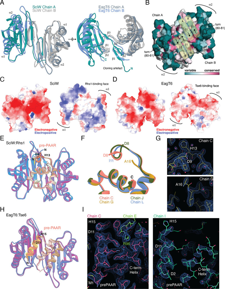 Figure 5—figure supplement 1.