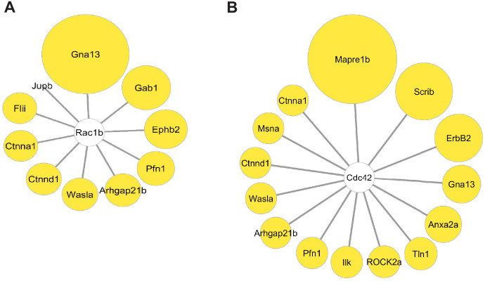 Figure 4—figure supplement 1.