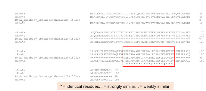 Figure 3—figure supplement 2.