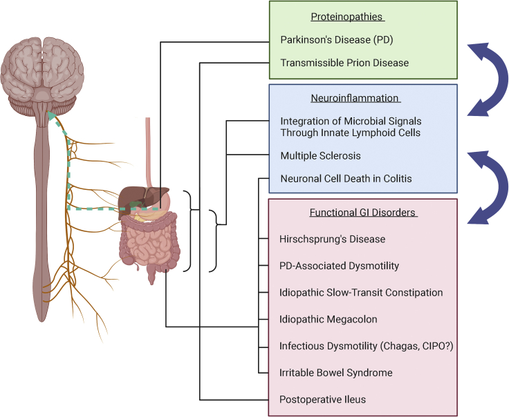 Figure 3