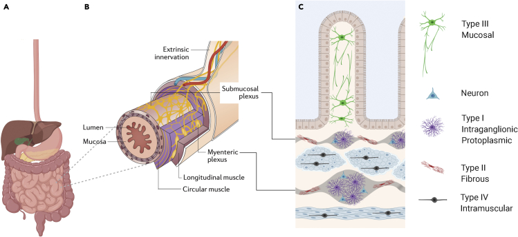 Figure 1