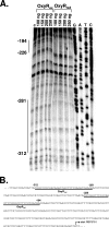 FIG. 2.