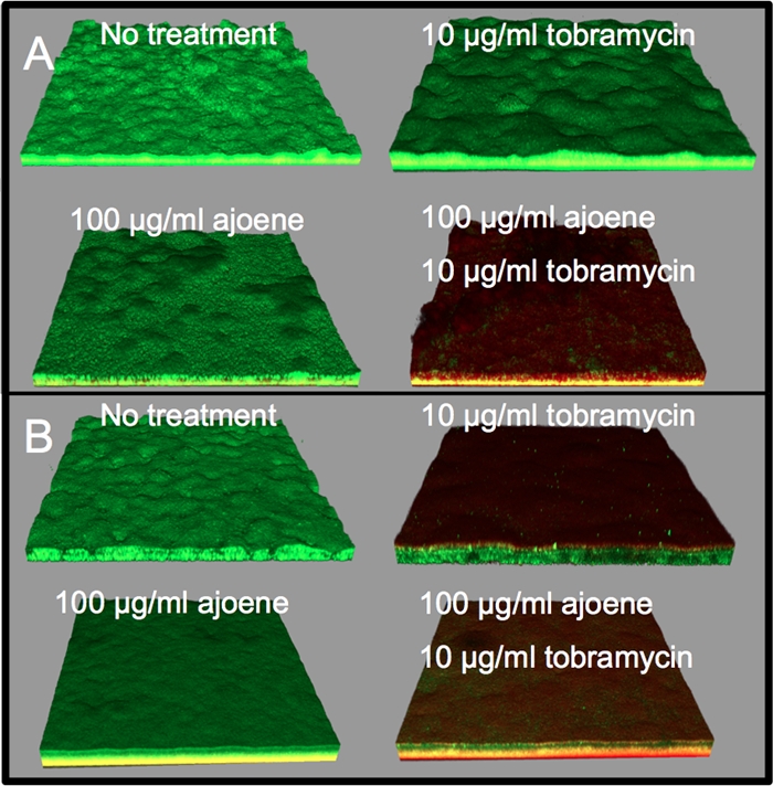 Fig 7