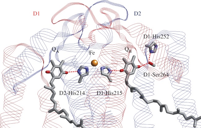 Figure 7.