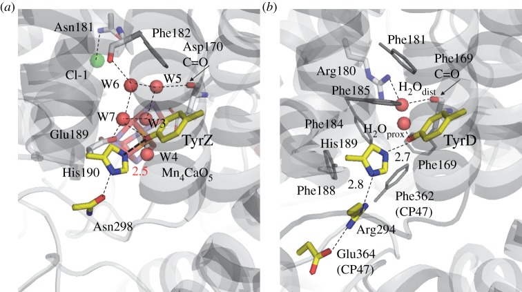 Figure 9.