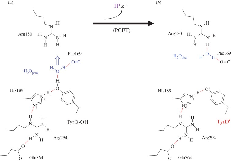 Figure 13.