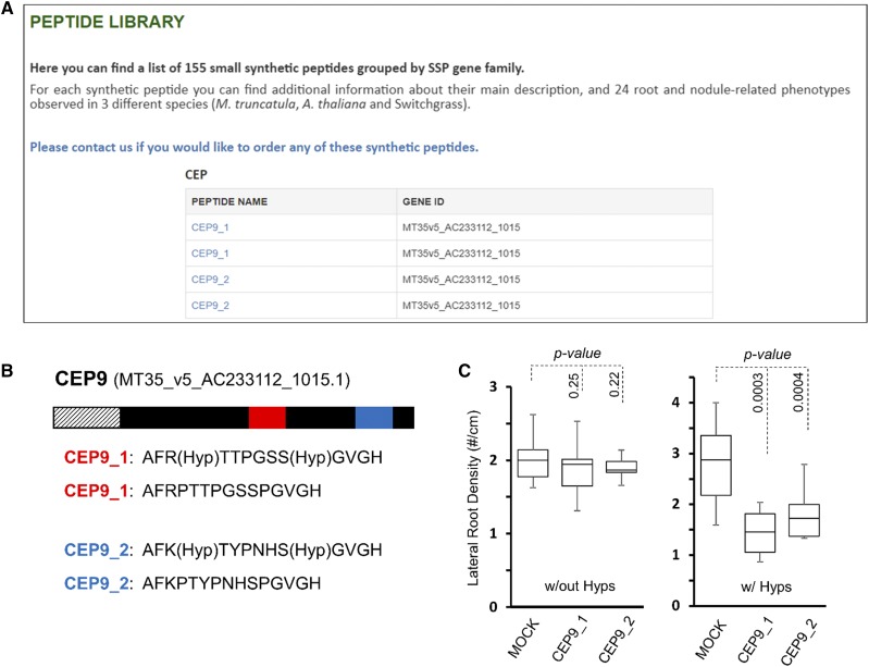 Figure 6.