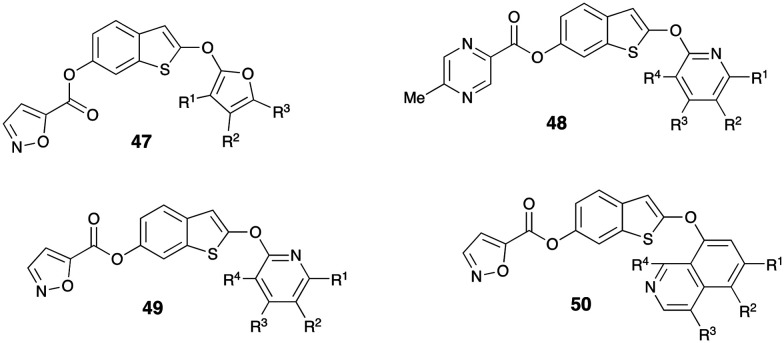 Fig. 13