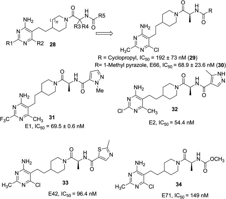 Fig. 10