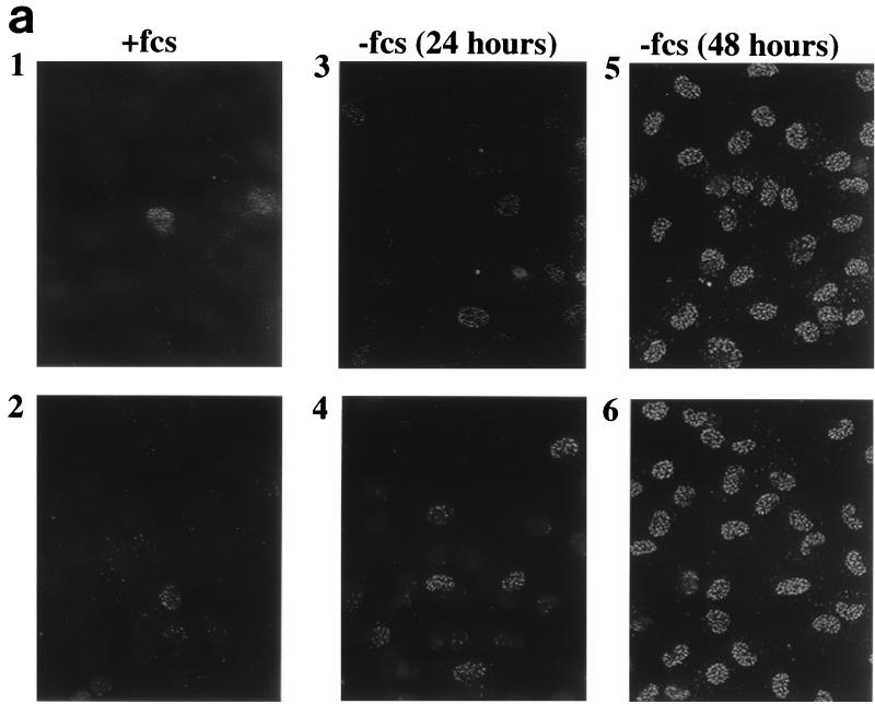 FIG. 6