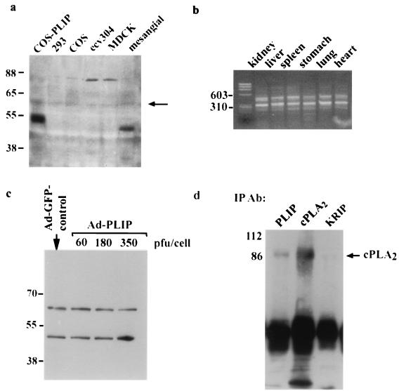 FIG. 5