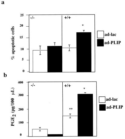 FIG. 8