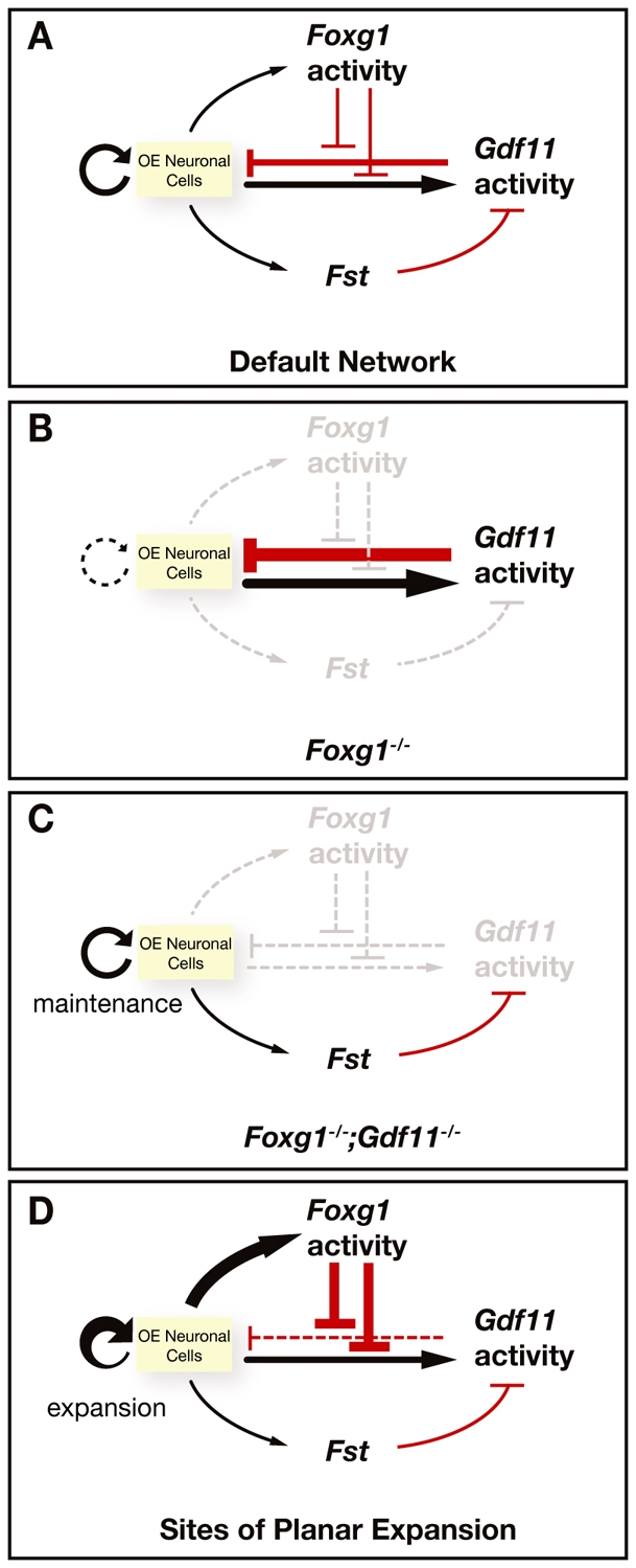 Fig. 10.