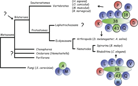 FIGURE 9.