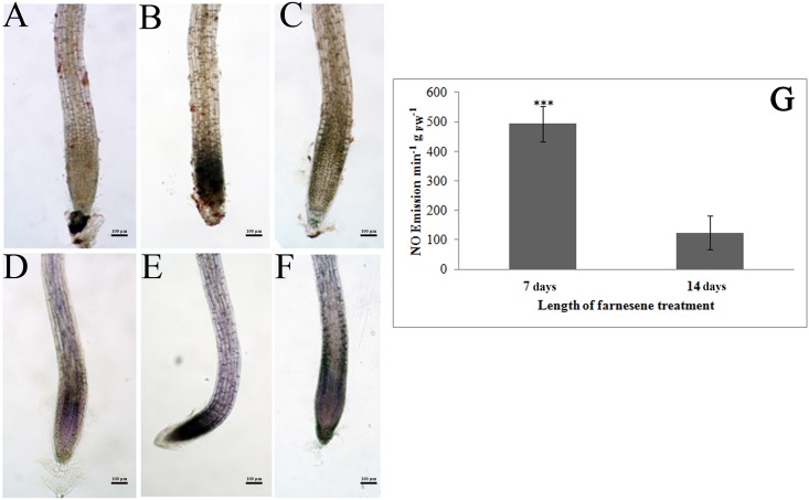 Fig 9