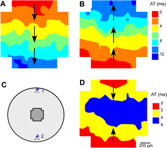 Figure 7