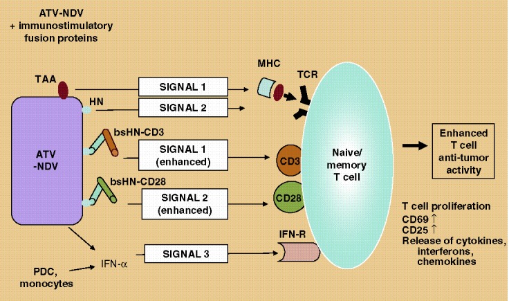 Fig. 10