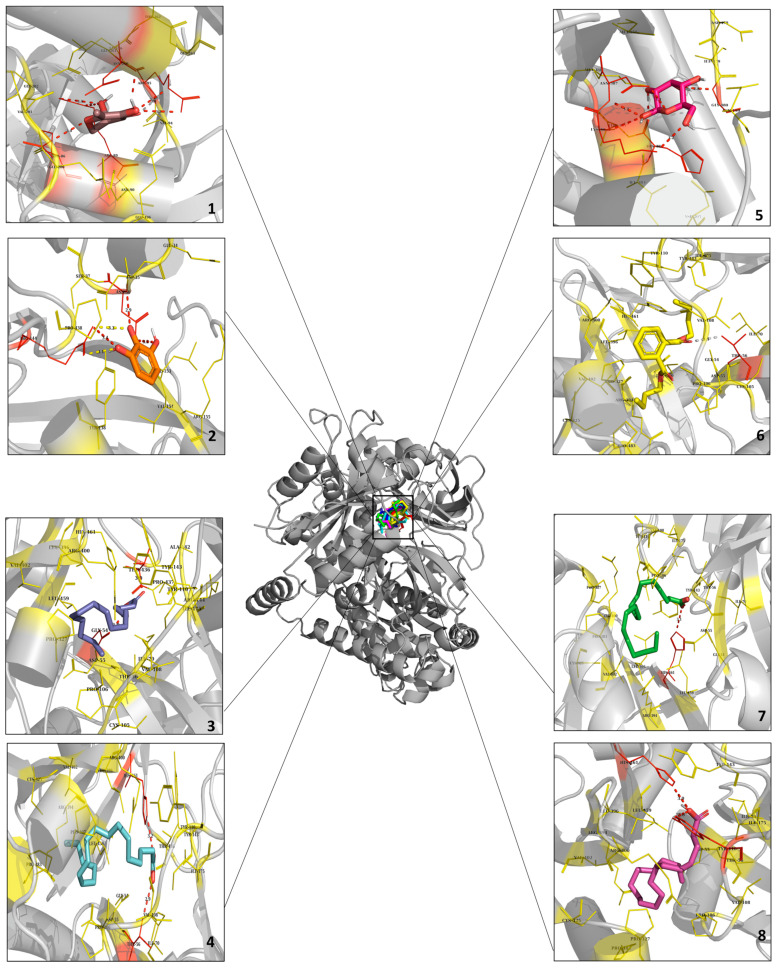 Figure 11