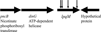 FIG. 1.