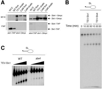 Figure 5.