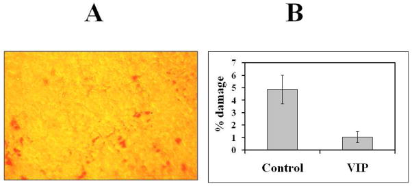 Fig.4