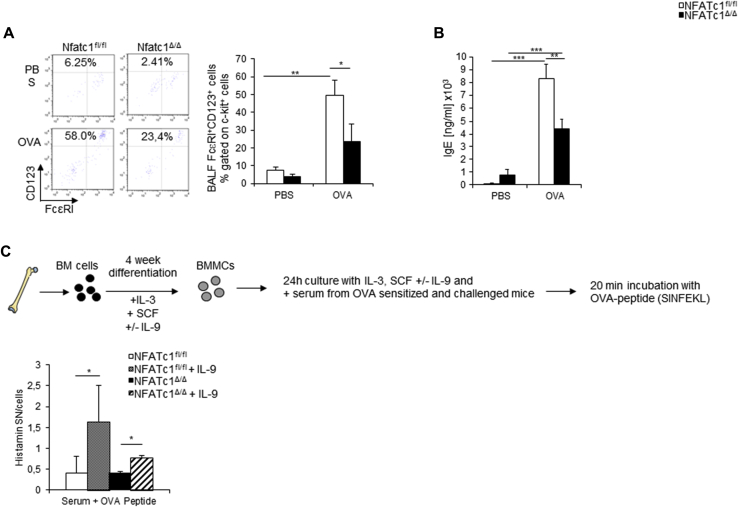 Fig E2