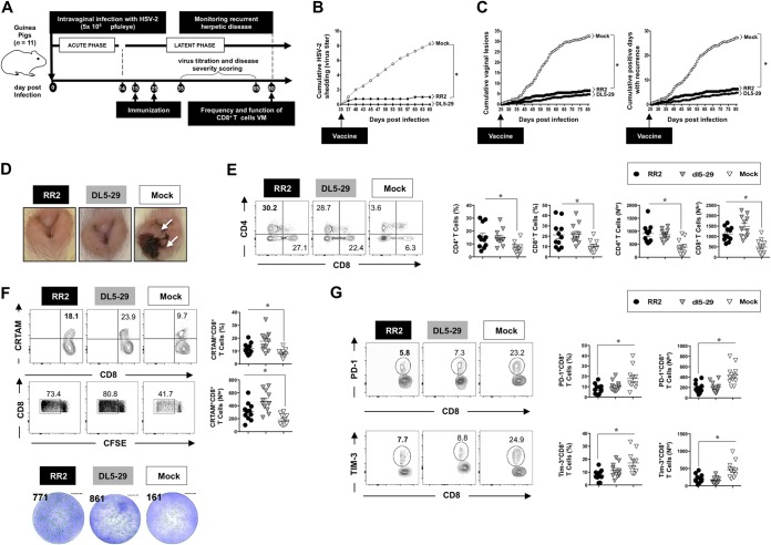 FIG 6