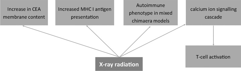 Figure 6