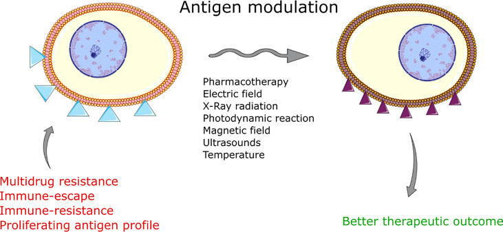 Graphical Abstract