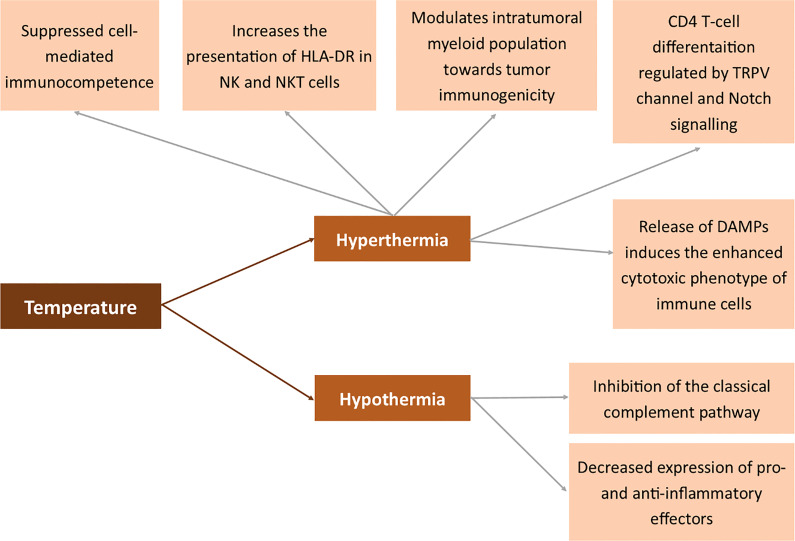 Figure 7