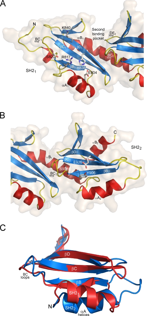 FIGURE 2.