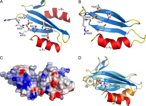 FIGURE 3.