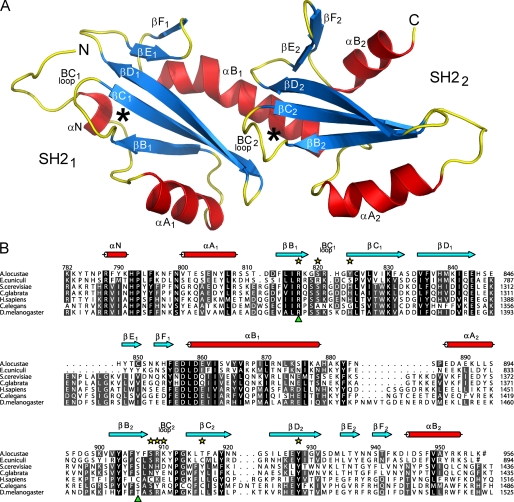 FIGURE 1.