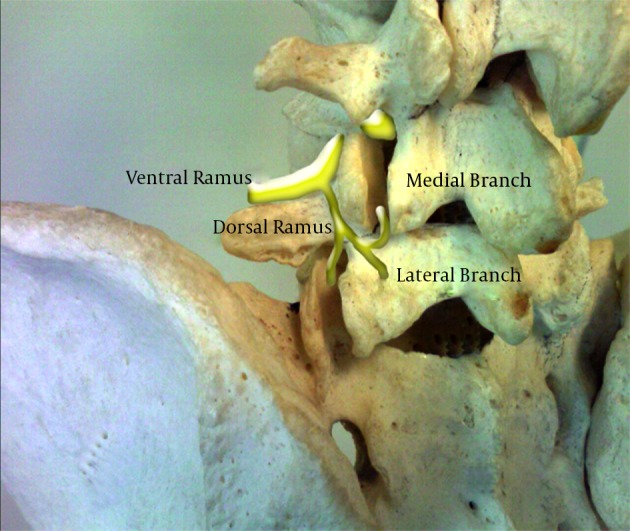 Figure 7.